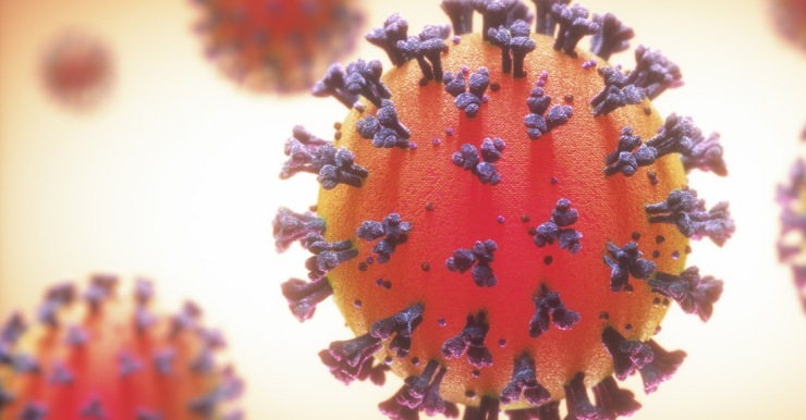 Informacions per a les families: Coronavirus
